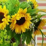 Gloria Superior Hotel 3*