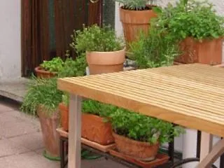 酒店 凯莱高级酒店 3*