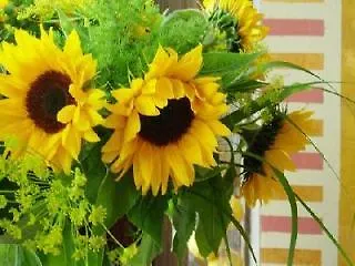 グロリア スーペリア ホテル 3*